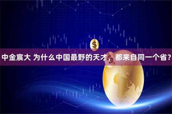 中金宸大 为什么中国最野的天才，都来自同一个省？