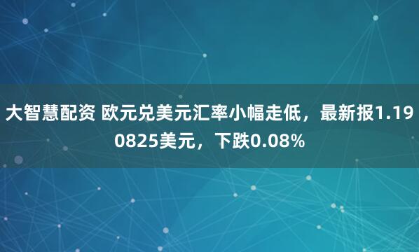 大智慧配资 欧元兑美元汇率小幅走低，最新报1.190825美元，下跌0.08%